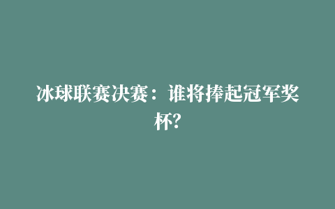 冰球联赛决赛：谁将捧起冠军奖杯？