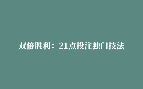 双倍胜利：21点投注独门技法