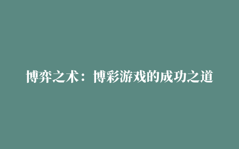 博弈之术：博彩游戏的成功之道